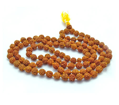 Rudraksha
