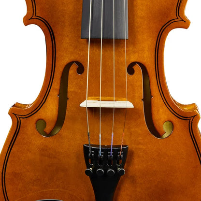 New 3/4 Acoustic Violin With Hard Case,Violin Bow,Shoulder Rest,Rosin,Extra Strings And Sourdine